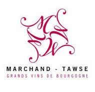 Marchand Tawse