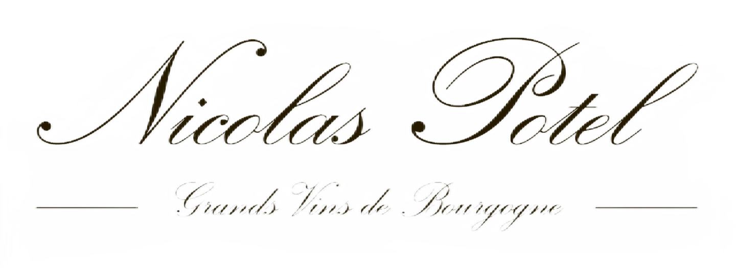 Nicolas Potel